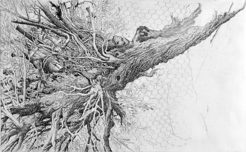 Metamorfosi